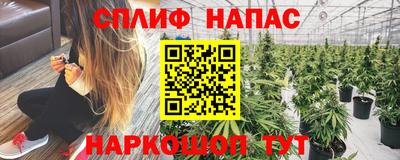 сатива Вязники